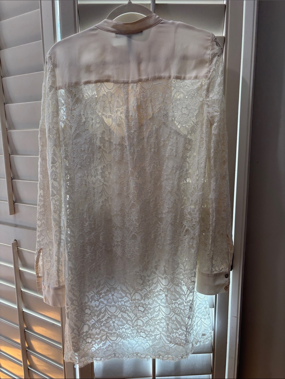 BCBGMaxAzria Lunah Cream Silk and Lace dress - Picture 4 of 4